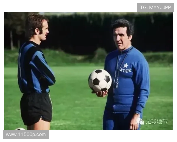 上海足球队个人能力分析与战术配合的深度探讨