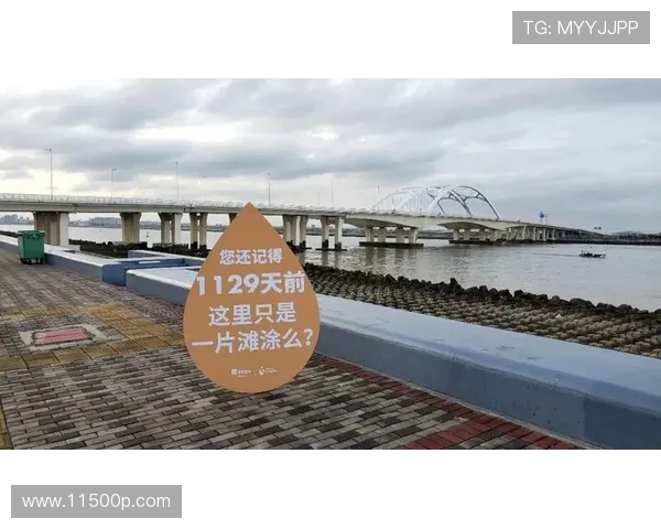 南京篮球队速度飞跃创历史新高引发全城热议