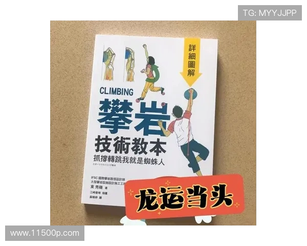 广州攀岩队耐力训练探讨与攀岩技巧提升的深度分析