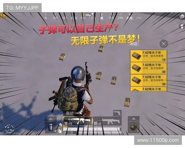 揭秘和平精英成功背后的故事与黄丽的独特见解