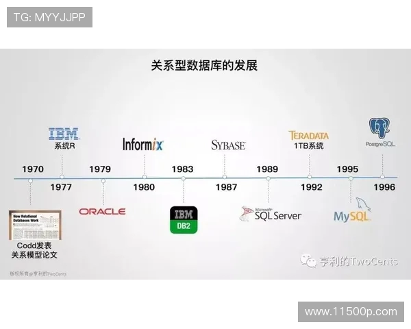 武汉排球队实力分析与发展趋势探讨：数据背后的故事与启示