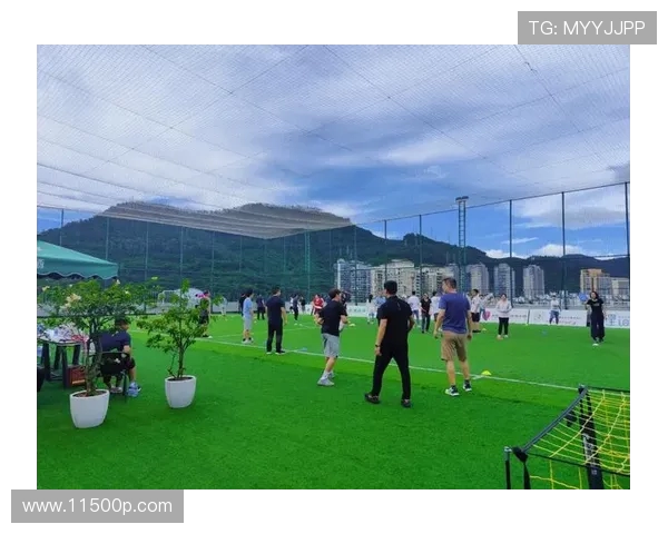 深圳飞盘队的整体压制革新探索与实践之路的深度剖析与展望