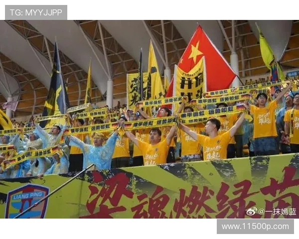 重庆排球队的力量争议引发热议球迷与专家各执己见探讨背后真相