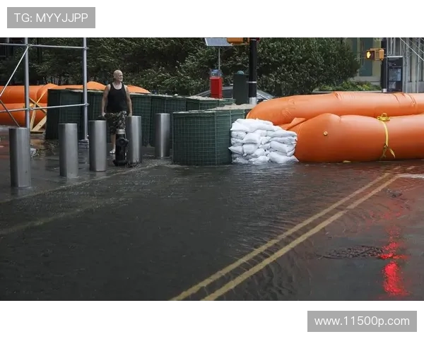 飓风与亚自由的实力对比究竟谁更强大分析与探讨 飓风与亚自由的实力对比究竟谁更强大分析与探讨