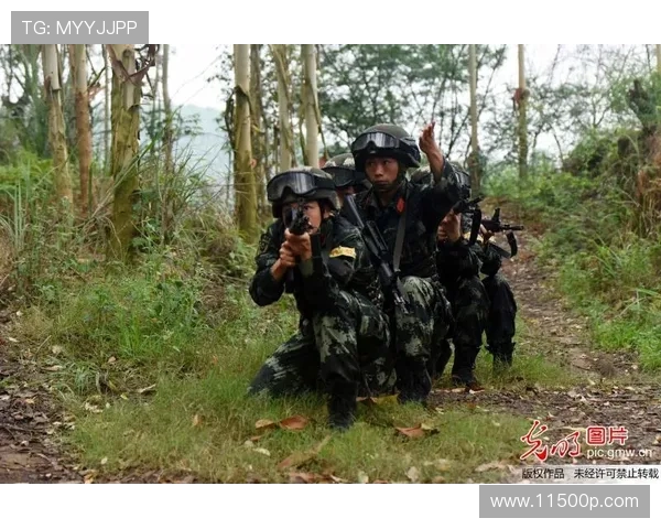 成都攀岩队战术探讨与训练策略的深度分析与分享