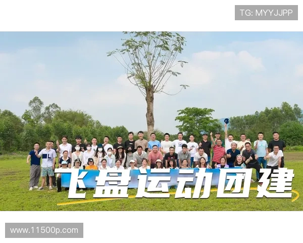 热议飞盘运动西安飞盘队如何实现技术革新与团队协作提升